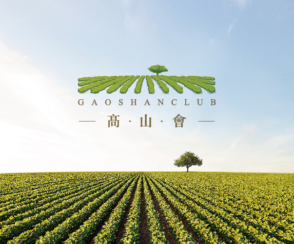瓷器VI設計中青花瓷花紋的獨特輔助魅力