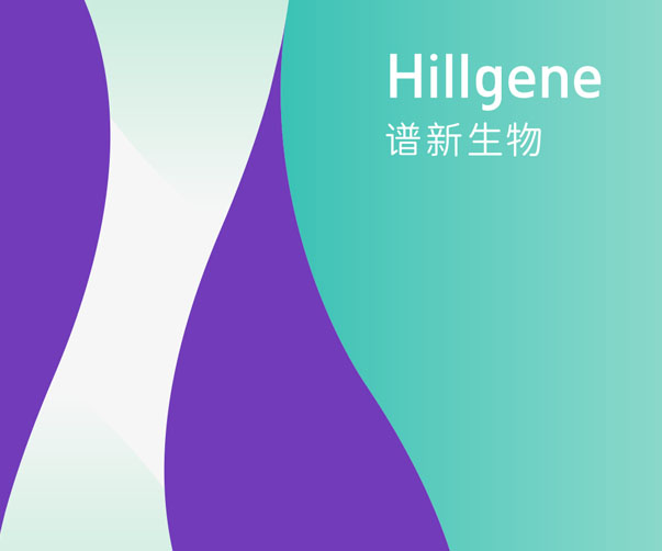 安防系統(tǒng)企業(yè)VI設計：打造可靠安全的視覺風格